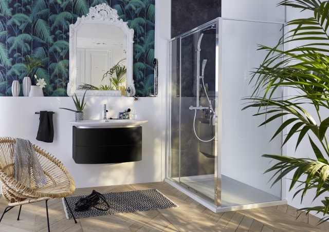 Ванная комната Presqu'ile украшена небольшим горшком с зелеными растениями в интерьере с душевой зоной